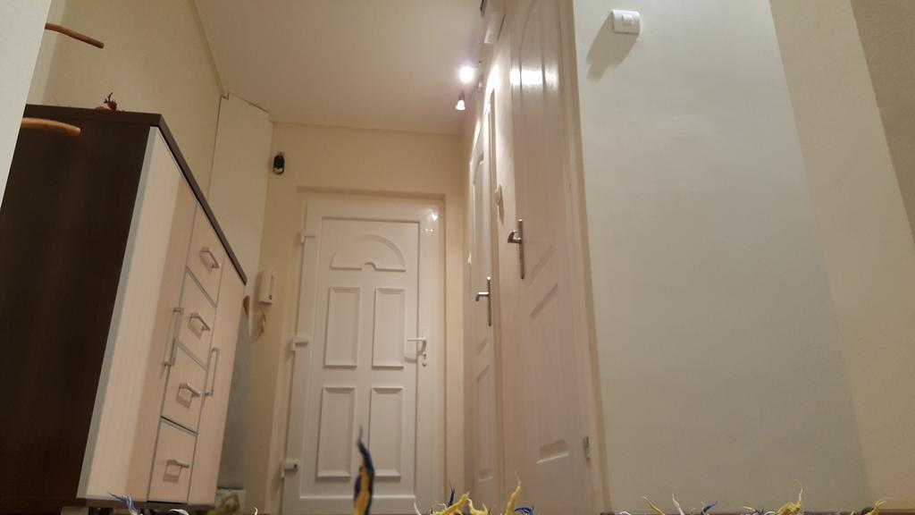 Aquarius Apartman Сегед Екстер'єр фото