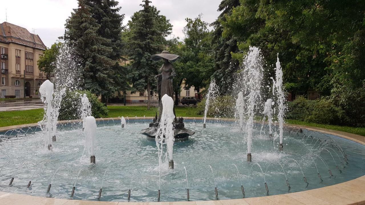 Aquarius Apartman Сегед Екстер'єр фото
